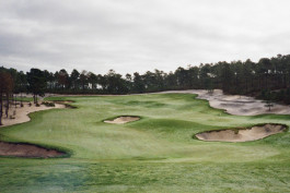 Recent Golf