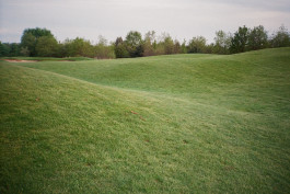 Recent Golf