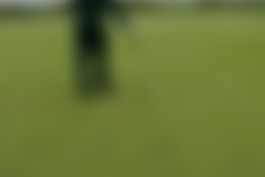 Recent Golf