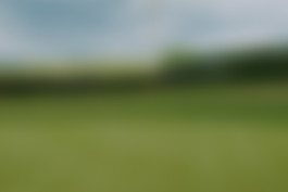 Recent Golf