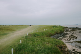 Recent Golf
