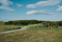 Recent Golf