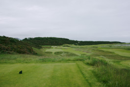 Recent Golf