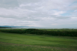 Recent Golf