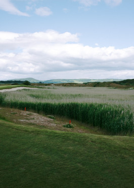 Recent Golf